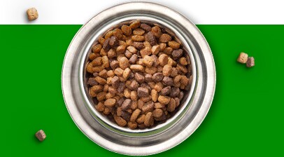  IAMs Dry Dog Food