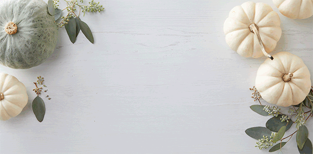 Pumpkin Pie GIF