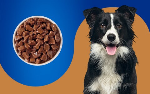 Pet pride clearance puppy formula